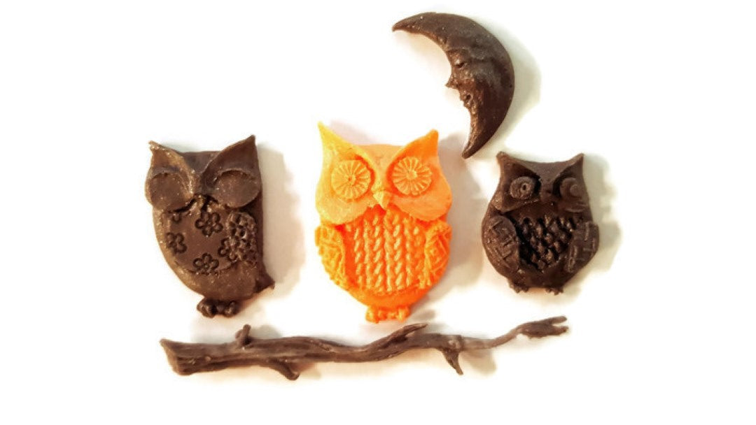 Owls Branches Silicone Mould