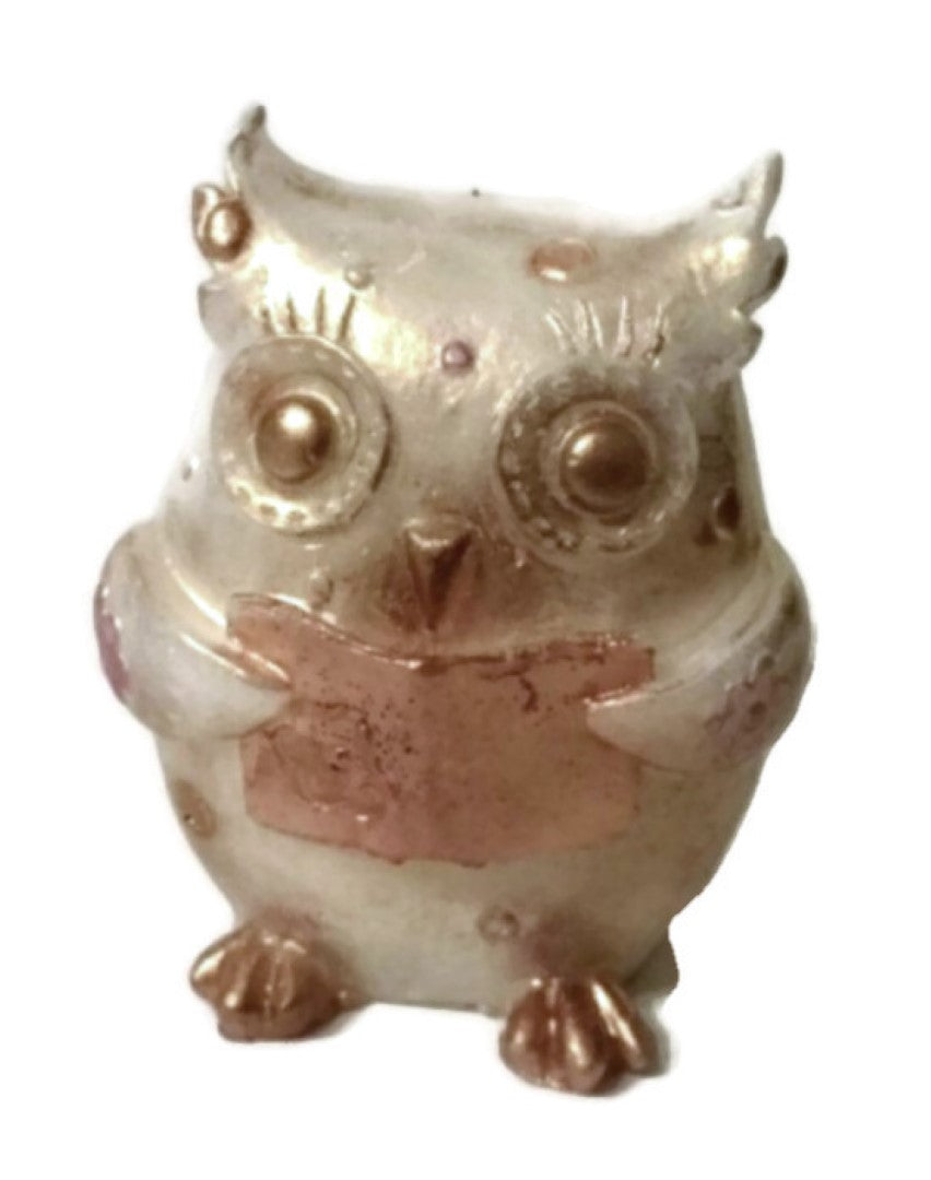 Owl Reading Silicone Mould