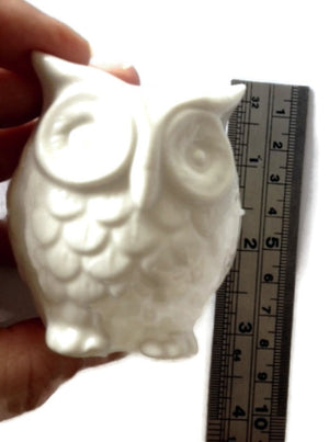 Owl Silicone Mould