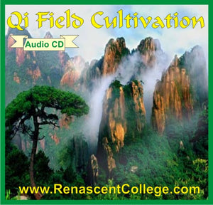 QI FIELD CULTIVATION QIGONG Audio CD