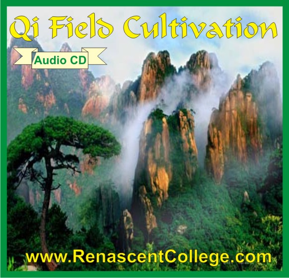 QI FIELD CULTIVATION QIGONG DVD