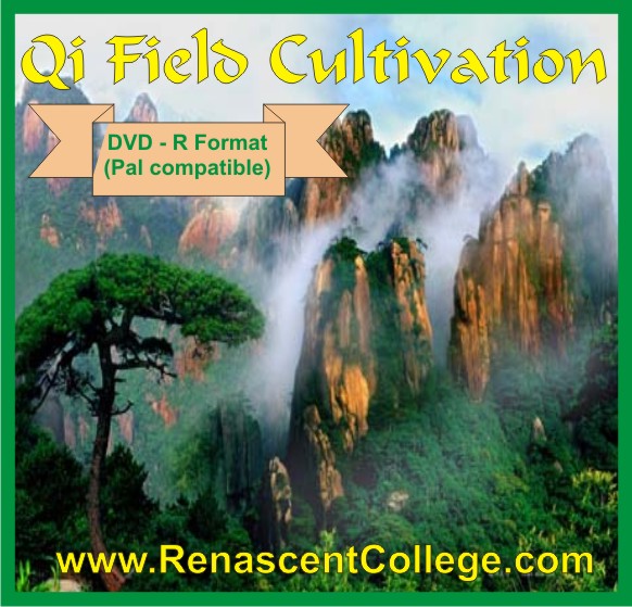 Qi Field DVD