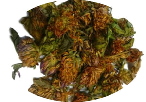 Red Clover Flowers Dried