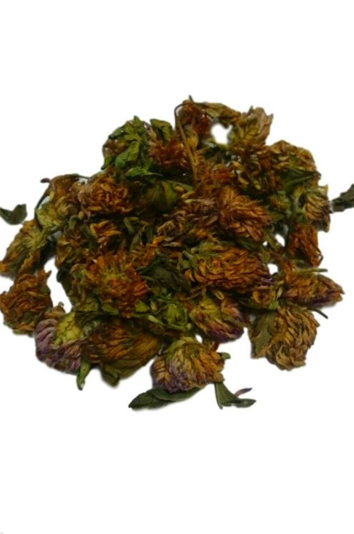 Red Clover Flowers Dried