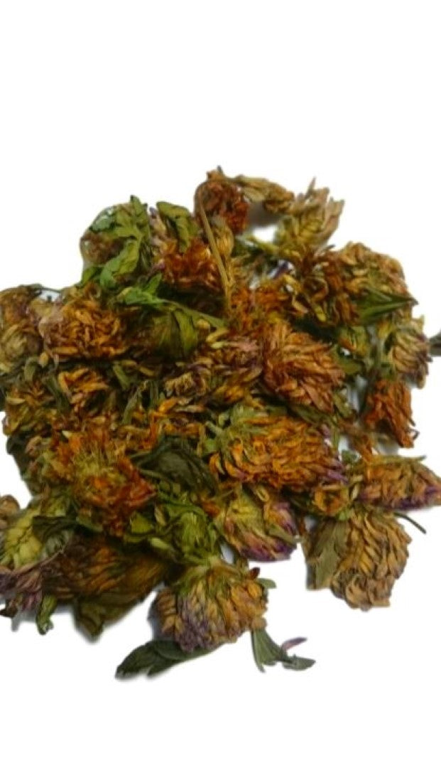 Red Clover Flowers Dried