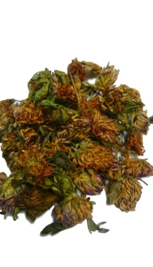 Red Clover Flowers Dried