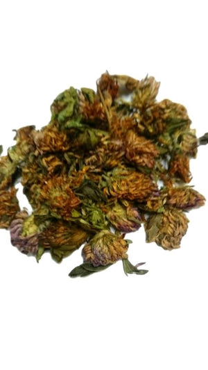 Red Clover Flowers Dried