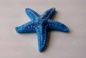 Starfish Mini Silicone Mould