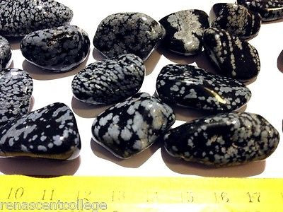 Snowflake Obsidian Gemstones Tumbled x 4 pieces