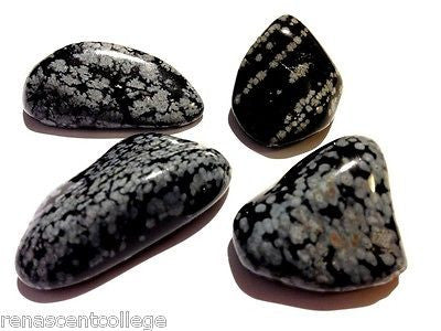 Snowflake Obsidian Gemstones Tumbled x 4 pieces