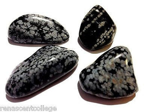 Snowflake Obsidian Gemstones Tumbled x 4 pieces