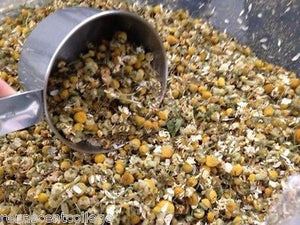 Chamomile Flowers Yellow Dried