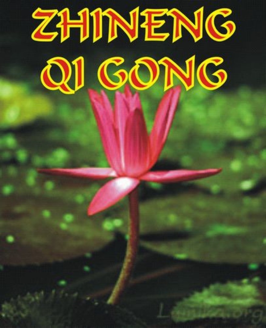Qi Gong - Zhineng - Practice DVD