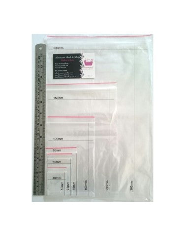 Self Seal Clear Zip Lock Plastic Bags 9x12 (A4) (230 x 305mm) x 100