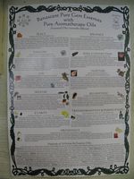 ESSENCE OIL AROMATHERAPY POSTER