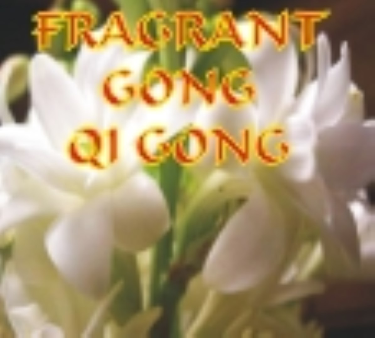 Qi Gong - Complete Set - Practice DVDs