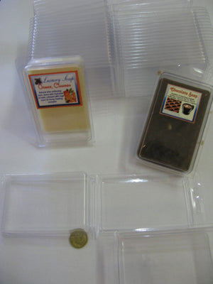 Rectangle Single Cavity Clear Self Closing Clam Shell Box