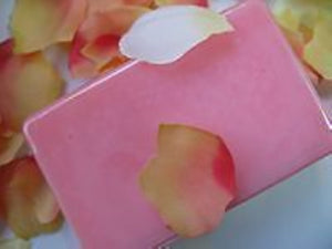 Rectangle Single Cavity Clear Self Closing Clam Shell Box