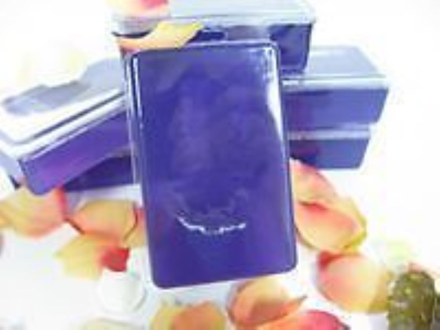 Rectangle Single Cavity Clear Self Closing Clam Shell Box