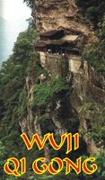 WUJI QIGONG DVD (PAL)