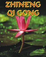 ZHINENG QIGONG DVD (NTSC - USA)