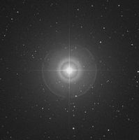 POLARIS STELLAR ESSENCE