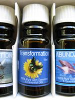 TRANSFORMATION & TRAVEL - Juniper ESSENCE OIL AROMATHERAPY BLEND