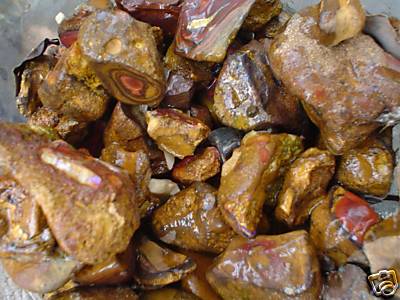 YOWAH OPAL NUTS Specimens x 10
